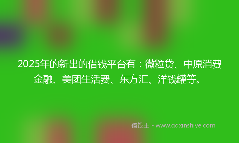 2025年的新出的借钱平台有：微粒贷、中原消费金融、美团生活费、东方汇、洋钱罐等。