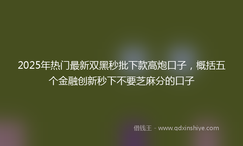 2025年热门最新双黑秒批下款高炮口子，概括五个金融创新秒下不要芝麻分的口子