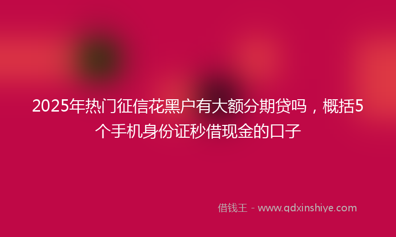 2025年热门征信花黑户有大额分期贷吗，概括5个手机身份证秒借现金的口子
