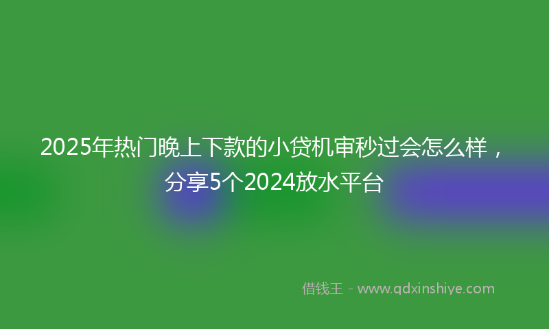 2025年热门晚上下款的小贷机审秒过会怎么样，分享5个2024放水平台