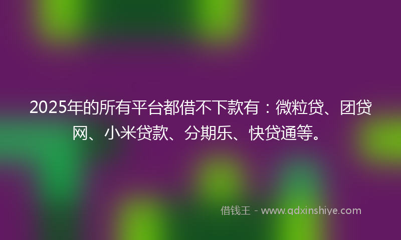 2025年的所有平台都借不下款有：微粒贷、团贷网、小米贷款、分期乐、快贷通等。