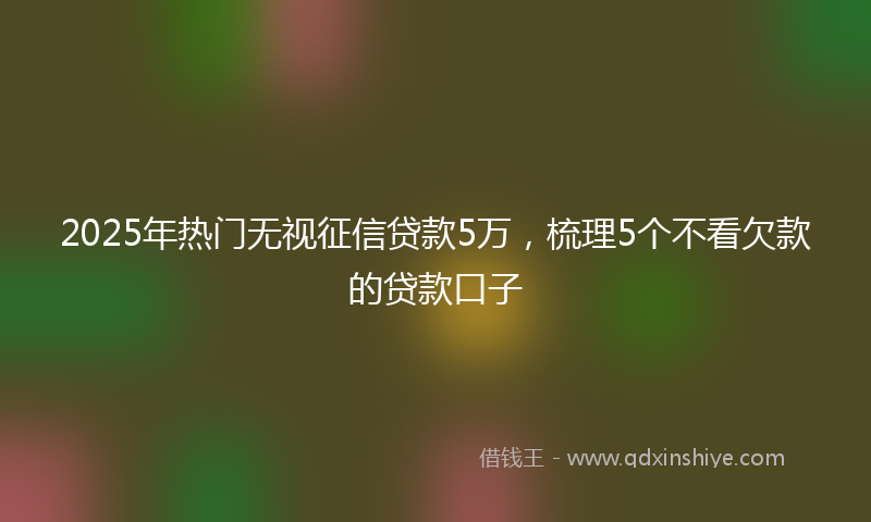2025年热门无视征信贷款5万，梳理5个不看欠款的贷款口子