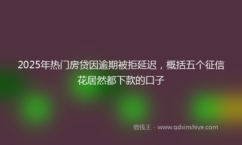 2025年热门房贷因逾期被拒延迟，概括五个征信花居然都下款的口子