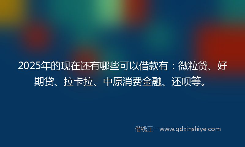 2025年的现在还有哪些可以借款有：微粒贷、好期贷、拉卡拉、中原消费金融、还呗等。