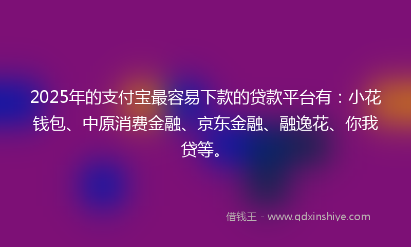 2025年的支付宝最容易下款的贷款平台有：小花钱包、中原消费金融、京东金融、融逸花、你我贷等。