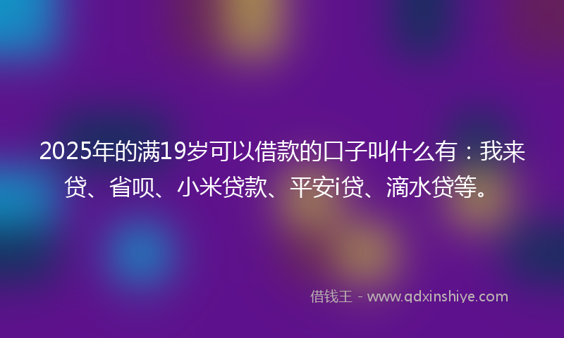 2025年的满19岁可以借款的口子叫什么有：我来贷、省呗、小米贷款、平安i贷、滴水贷等。