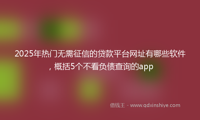 2025年热门无需征信的贷款平台网址有哪些软件，概括5个不看负债查询的app