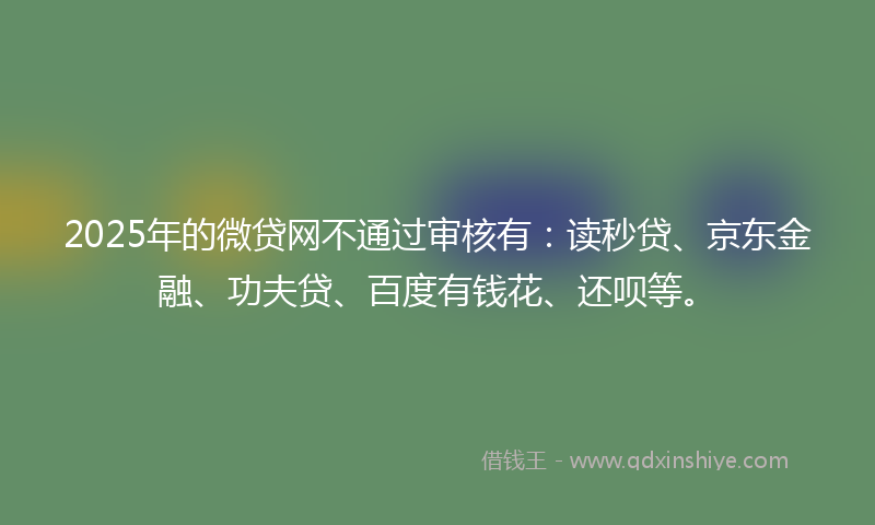 2025年的微贷网不通过审核有：读秒贷、京东金融、功夫贷、百度有钱花、还呗等。