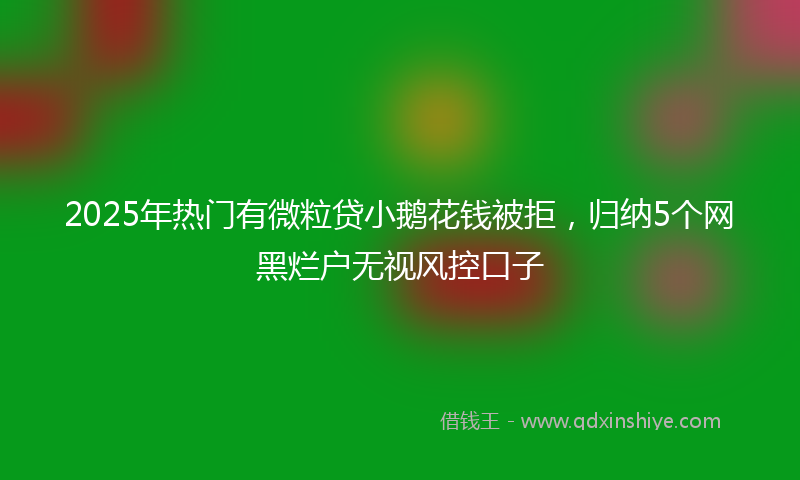 2025年热门有微粒贷小鹅花钱被拒，归纳5个网黑烂户无视风控口子