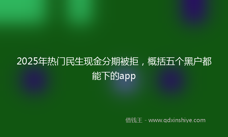 2025年热门民生现金分期被拒，概括五个黑户都能下的app