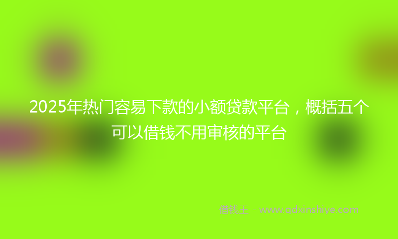 2025年热门容易下款的小额贷款平台，概括五个可以借钱不用审核的平台