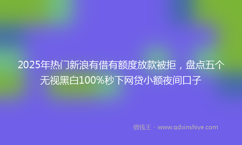 2025年热门新浪有借有额度放款被拒，盘点五个无视黑白100%秒下网贷小额夜间口子