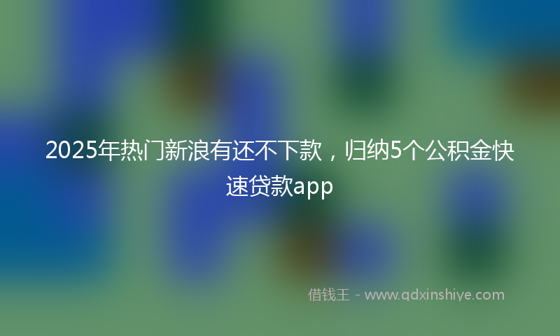 2025年热门新浪有还不下款，归纳5个公积金快速贷款app