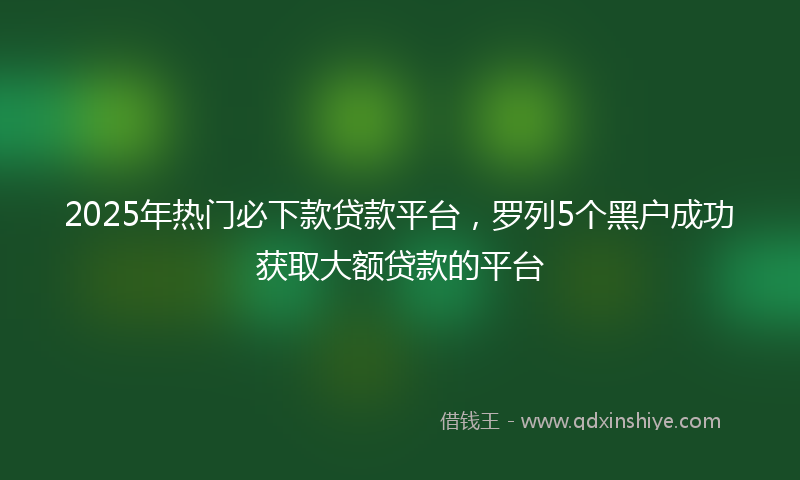2025年热门必下款贷款平台，罗列5个黑户成功获取大额贷款的平台