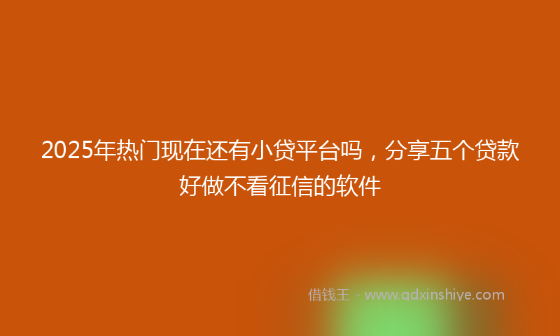 2025年热门现在还有小贷平台吗，分享五个贷款好做不看征信的软件