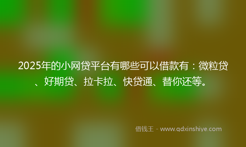 2025年的小网贷平台有哪些可以借款有：微粒贷、好期贷、拉卡拉、快贷通、替你还等。