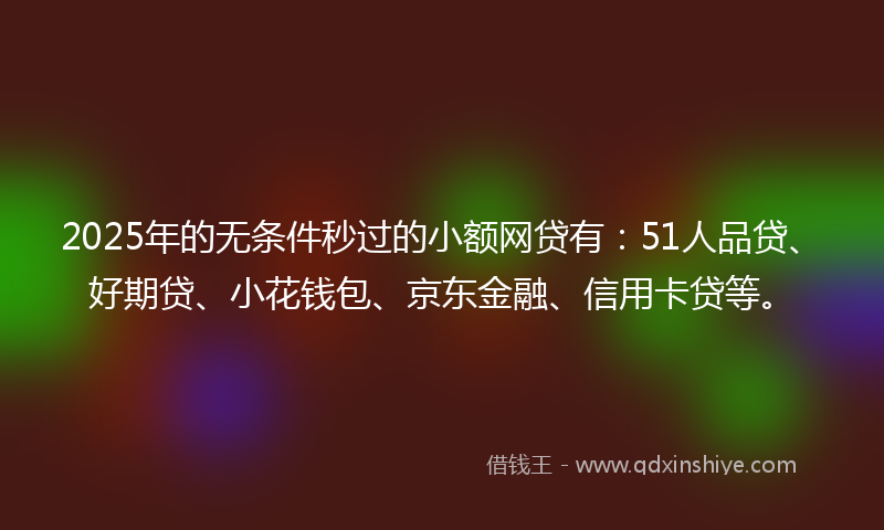 2025年的无条件秒过的小额网贷有：51人品贷、好期贷、小花钱包、京东金融、信用卡贷等。