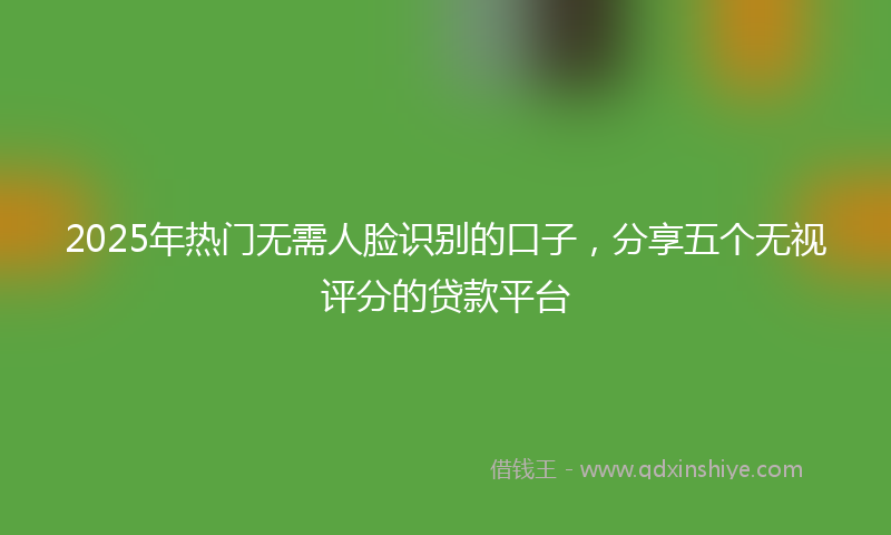 2025年热门无需人脸识别的口子，分享五个无视评分的贷款平台