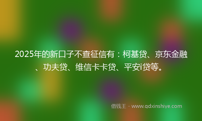 2025年的新口子不查征信有：柯基贷、京东金融、功夫贷、维信卡卡贷、平安i贷等。