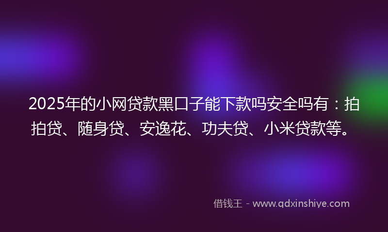 2025年的小网贷款黑口子能下款吗安全吗有：拍拍贷、随身贷、安逸花、功夫贷、小米贷款等。
