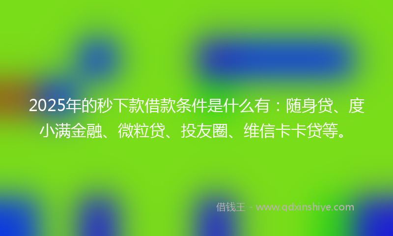 2025年的秒下款借款条件是什么有：随身贷、度小满金融、微粒贷、投友圈、维信卡卡贷等。