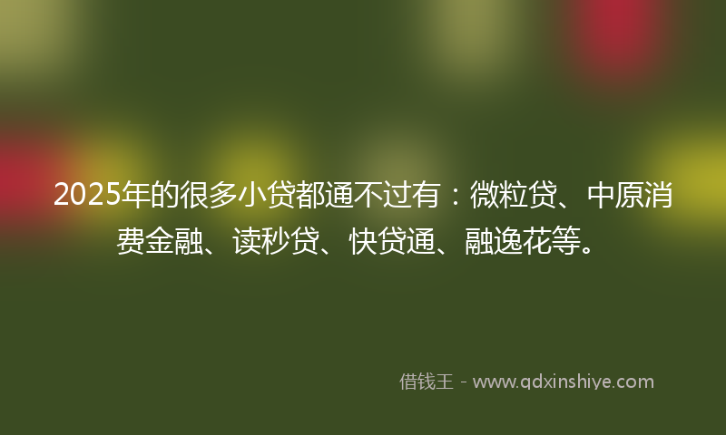 2025年的很多小贷都通不过有：微粒贷、中原消费金融、读秒贷、快贷通、融逸花等。
