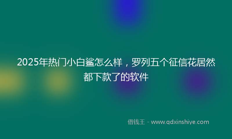 2025年热门小白鲨怎么样，罗列五个征信花居然都下款了的软件