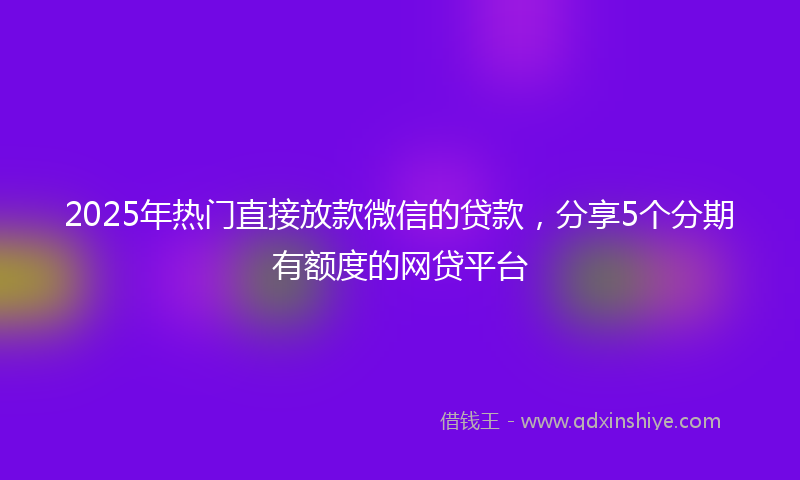 2025年热门直接放款微信的贷款，分享5个分期有额度的网贷平台