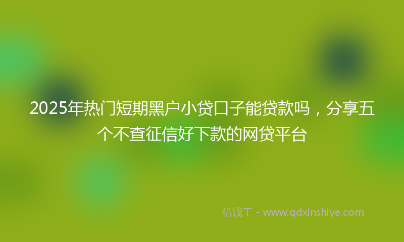 2025年热门短期黑户小贷口子能贷款吗，分享五个不查征信好下款的网贷平台
