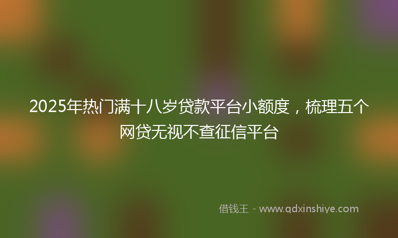 2025年热门满十八岁贷款平台小额度，梳理五个网贷无视不查征信平台