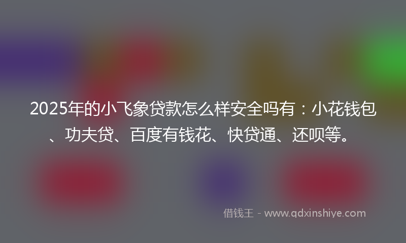 2025年的小飞象贷款怎么样安全吗有：小花钱包、功夫贷、百度有钱花、快贷通、还呗等。