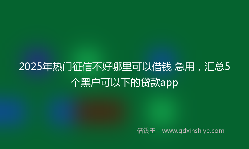 2025年热门征信不好哪里可以借钱 急用，汇总5个黑户可以下的贷款app