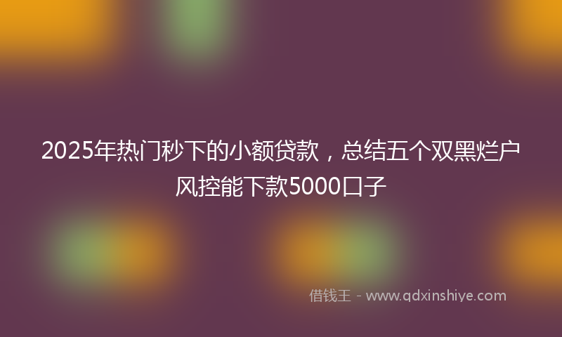 2025年热门秒下的小额贷款，总结五个双黑烂户风控能下款5000口子