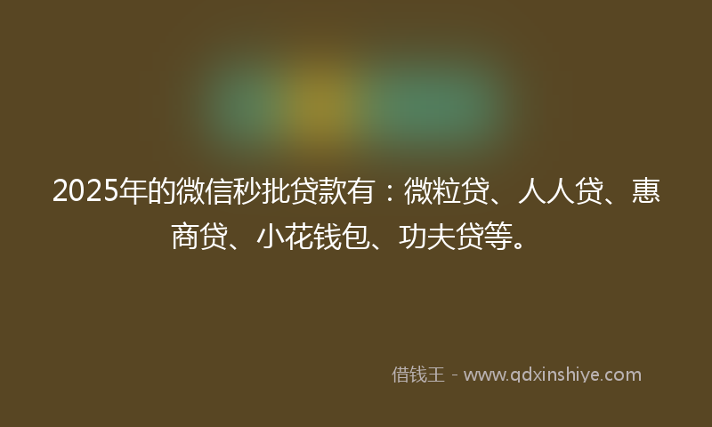 2025年的微信秒批贷款有：微粒贷、人人贷、惠商贷、小花钱包、功夫贷等。