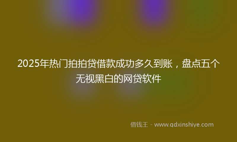 2025年热门拍拍贷借款成功多久到账，盘点五个无视黑白的网贷软件