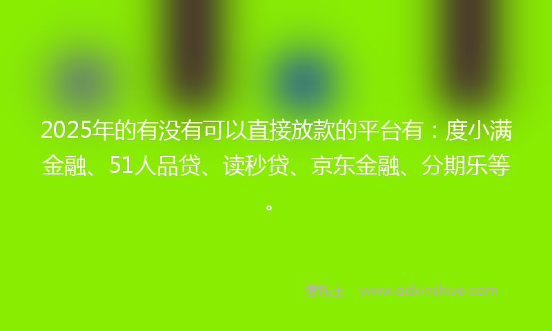 2025年的有没有可以直接放款的平台有：度小满金融、51人品贷、读秒贷、京东金融、分期乐等。