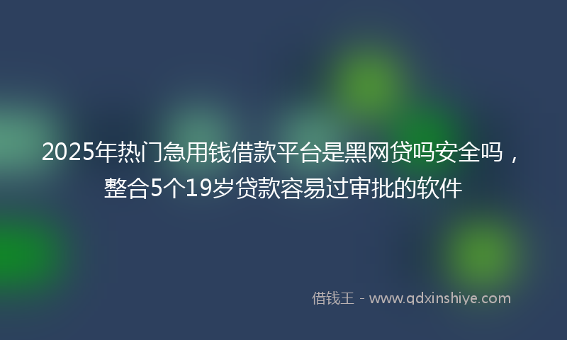 2025年热门急用钱借款平台是黑网贷吗安全吗，整合5个19岁贷款容易过审批的软件