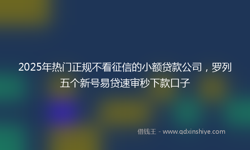 2025年热门正规不看征信的小额贷款公司，罗列五个新号易贷速审秒下款口子