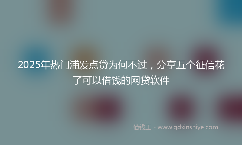 2025年热门浦发点贷为何不过，分享五个征信花了可以借钱的网贷软件