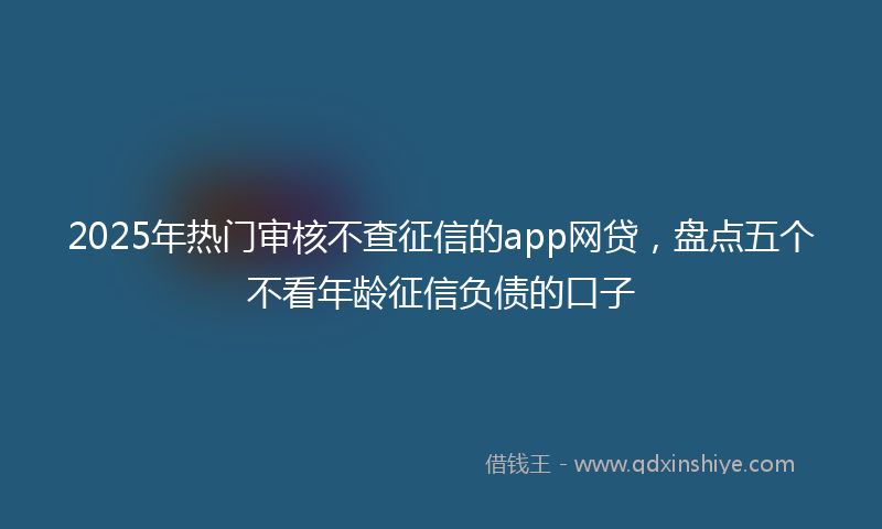 2025年热门审核不查征信的app网贷，盘点五个不看年龄征信负债的口子