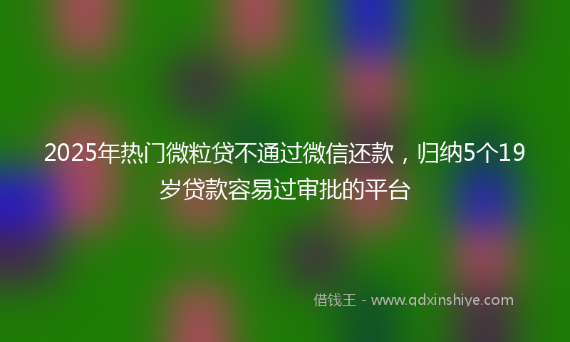 2025年热门微粒贷不通过微信还款，归纳5个19岁贷款容易过审批的平台
