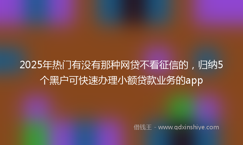 2025年热门有没有那种网贷不看征信的，归纳5个黑户可快速办理小额贷款业务的app