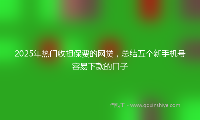 2025年热门收担保费的网贷，总结五个新手机号容易下款的口子