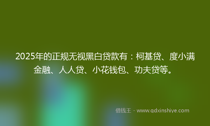 2025年的正规无视黑白贷款有：柯基贷、度小满金融、人人贷、小花钱包、功夫贷等。