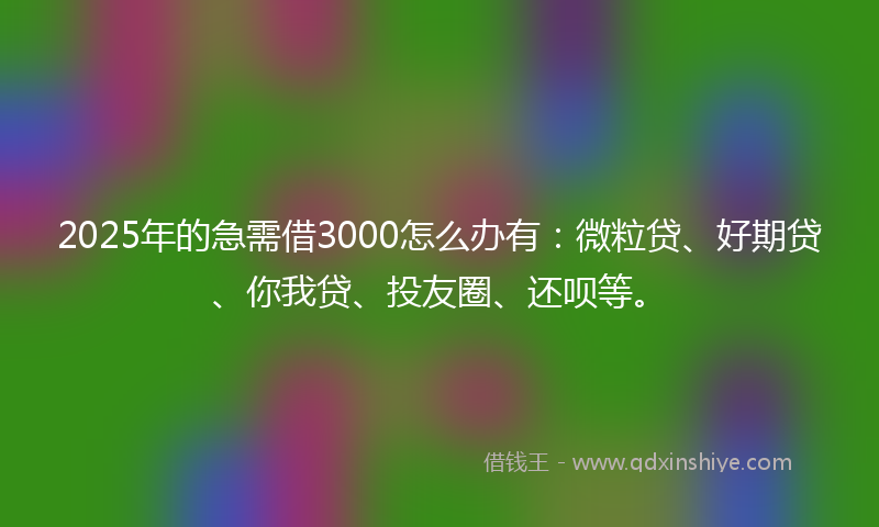 2025年的急需借3000怎么办有：微粒贷、好期贷、你我贷、投友圈、还呗等。