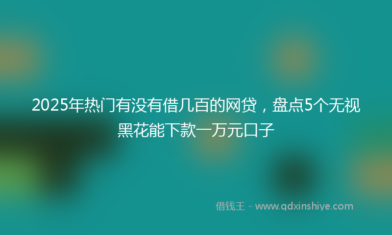 2025年热门有没有借几百的网贷，盘点5个无视黑花能下款一万元口子