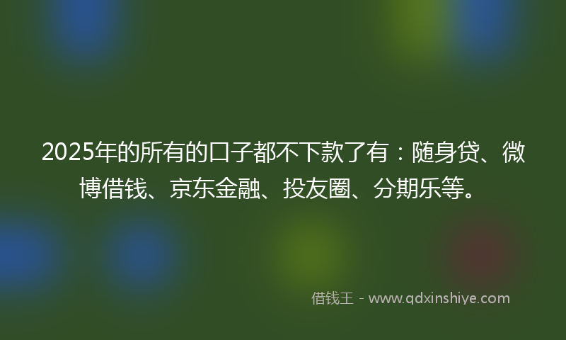 2025年的所有的口子都不下款了有：随身贷、微博借钱、京东金融、投友圈、分期乐等。