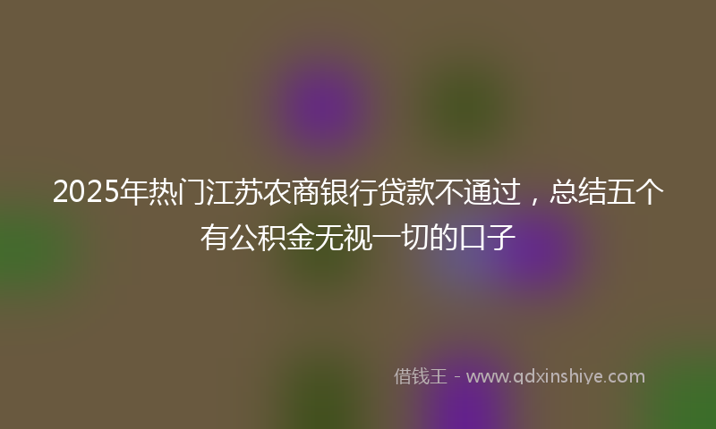 2025年热门江苏农商银行贷款不通过，总结五个有公积金无视一切的口子