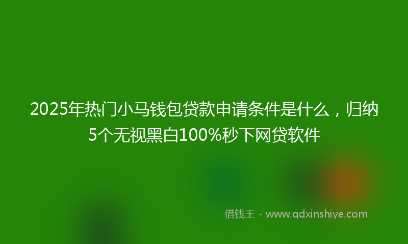 2025年热门小马钱包贷款申请条件是什么，归纳5个无视黑白100%秒下网贷软件