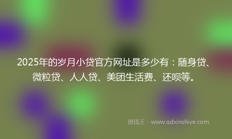 2025年的岁月小贷官方网址是多少有：随身贷、微粒贷、人人贷、美团生活费、还呗等。
